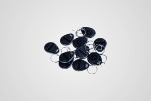 RFID Keychain 125KHz (10 pieces)